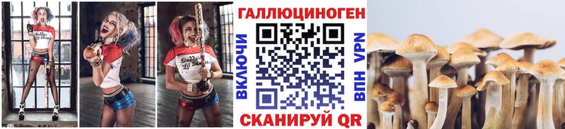KRAKEN Томск Галлюциногенные грибы GOLDEN TEACHER