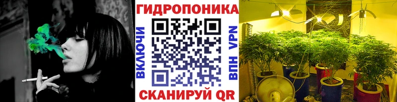 Шишки марихуана OG Kush  как найти наркотики  Томск 